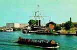 Redshank passing ss Great Britain